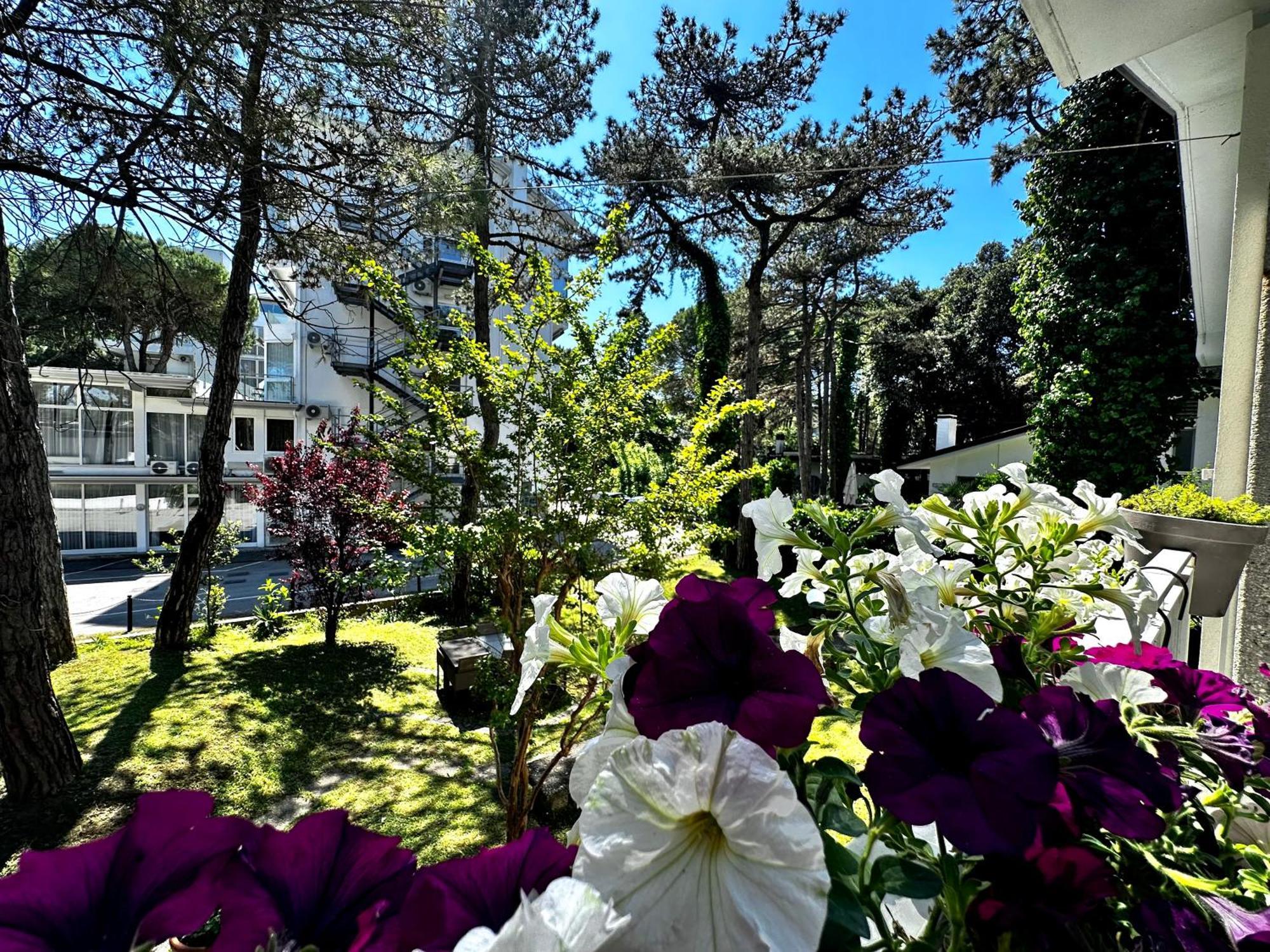ליגננו סביאדורו Villa Greif Pineta מראה חיצוני תמונה