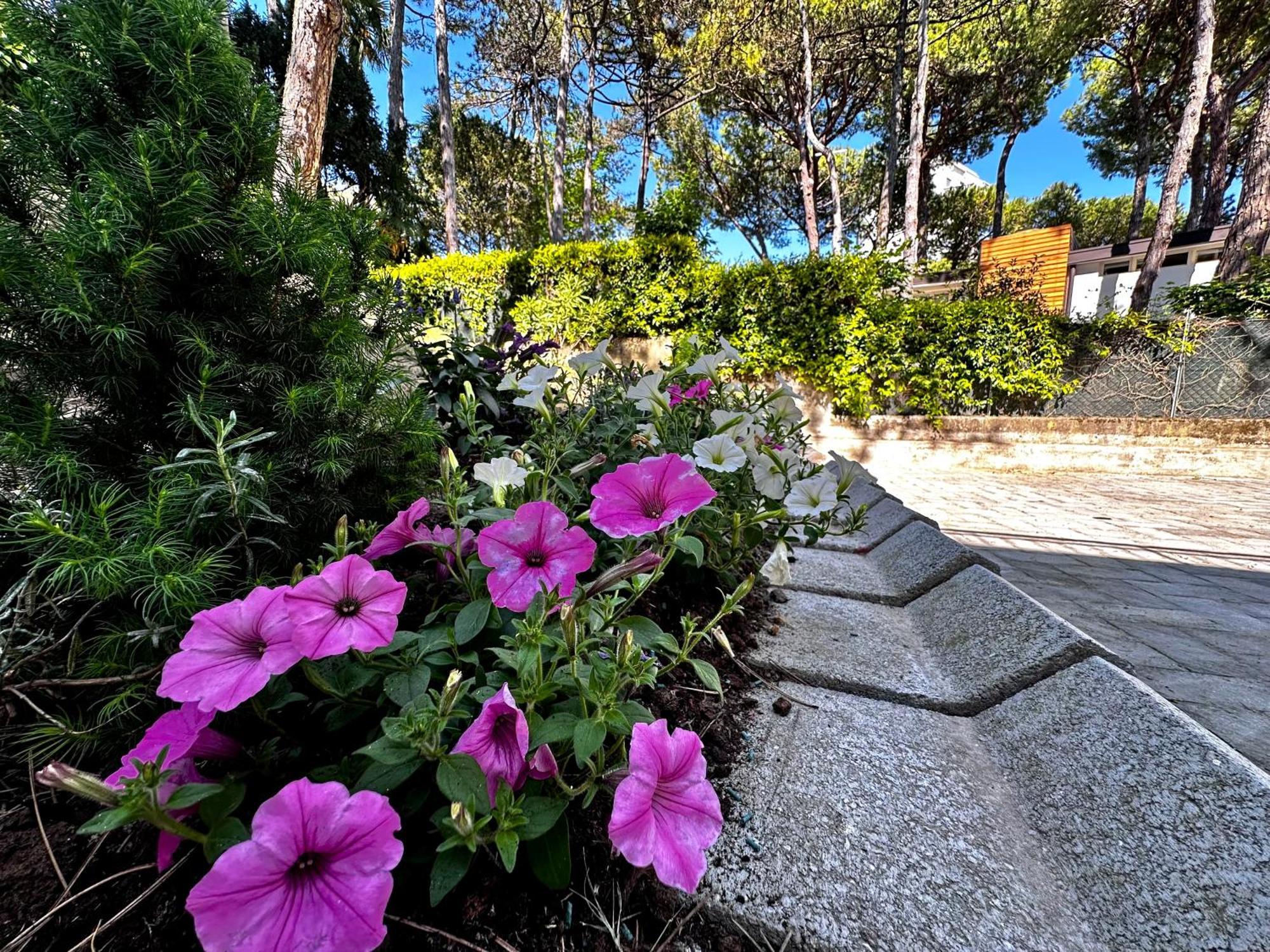 ליגננו סביאדורו Villa Greif Pineta מראה חיצוני תמונה